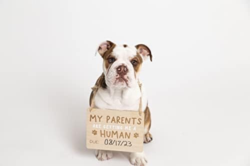 Pearhead Pregnancy Announcement Sign for Dogs