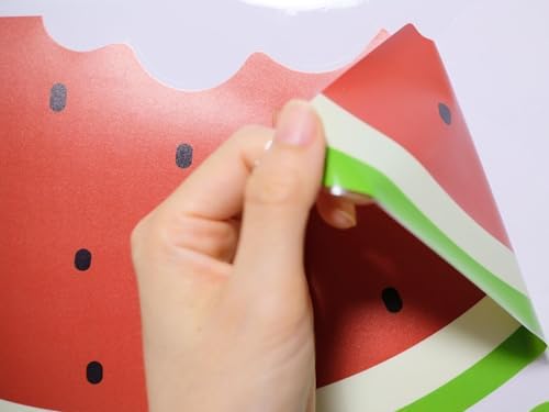 BOOMPA One in a Melon Watermelon Vinyl Wall Decal