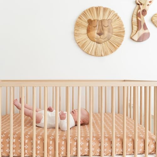 Crane Baby Wooden Lion Wall Decor for Nursery