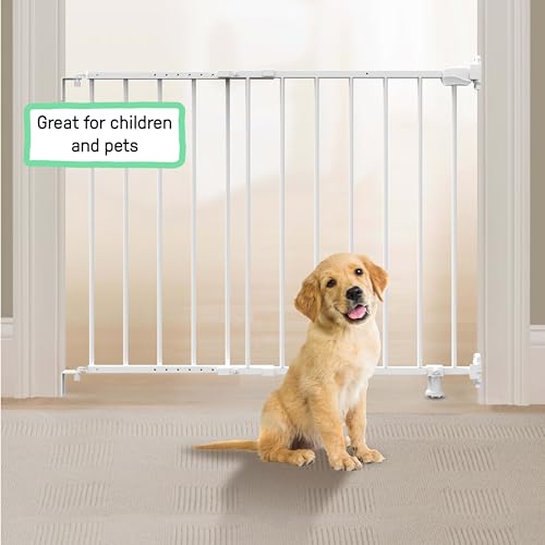 Ingenuity Stairway 42W Safety Pet and Baby Gate - White Metal