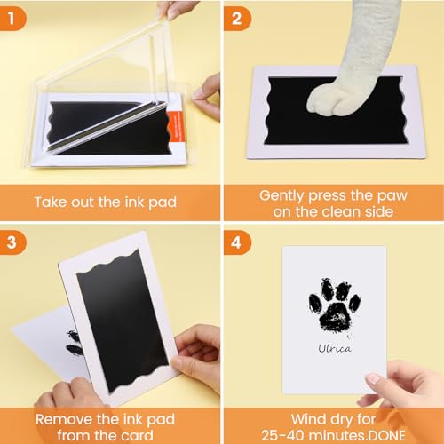 Rainbow Bridge Pet Footprint Kit for Grief Relief