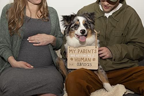 Pearhead Pregnancy Announcement Sign for Dogs