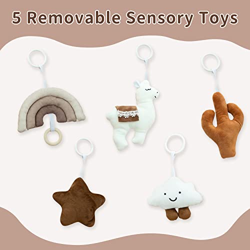Razee Baby Gym Mat with 5 Toys for Infant Activity