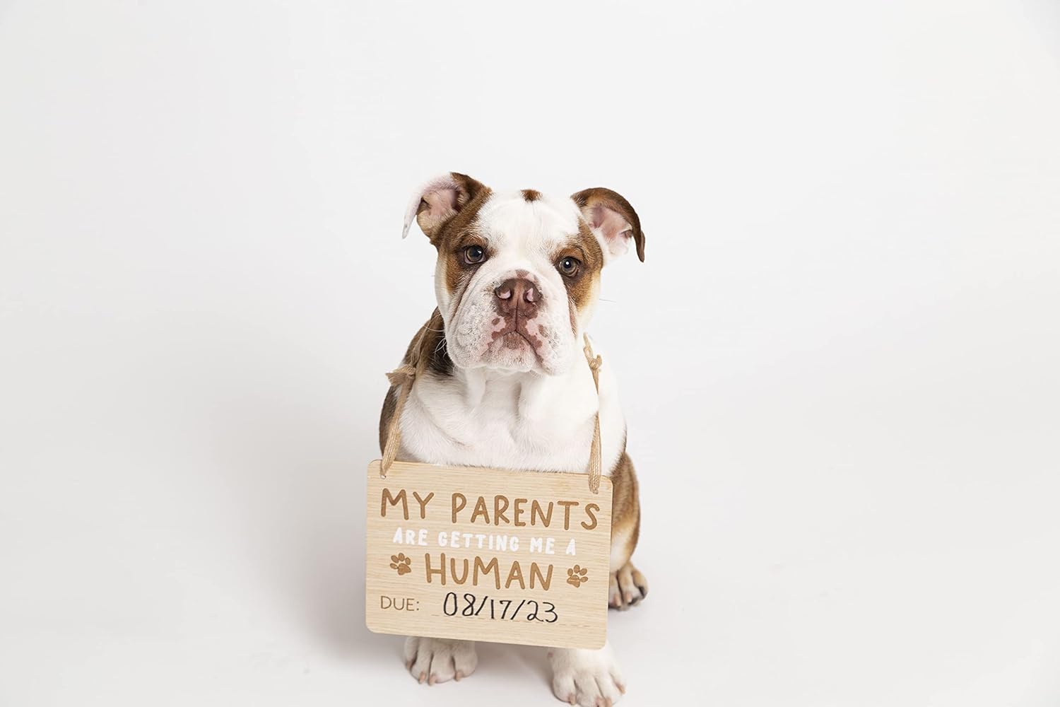Pearhead Pregnancy Announcement Sign for Dogs