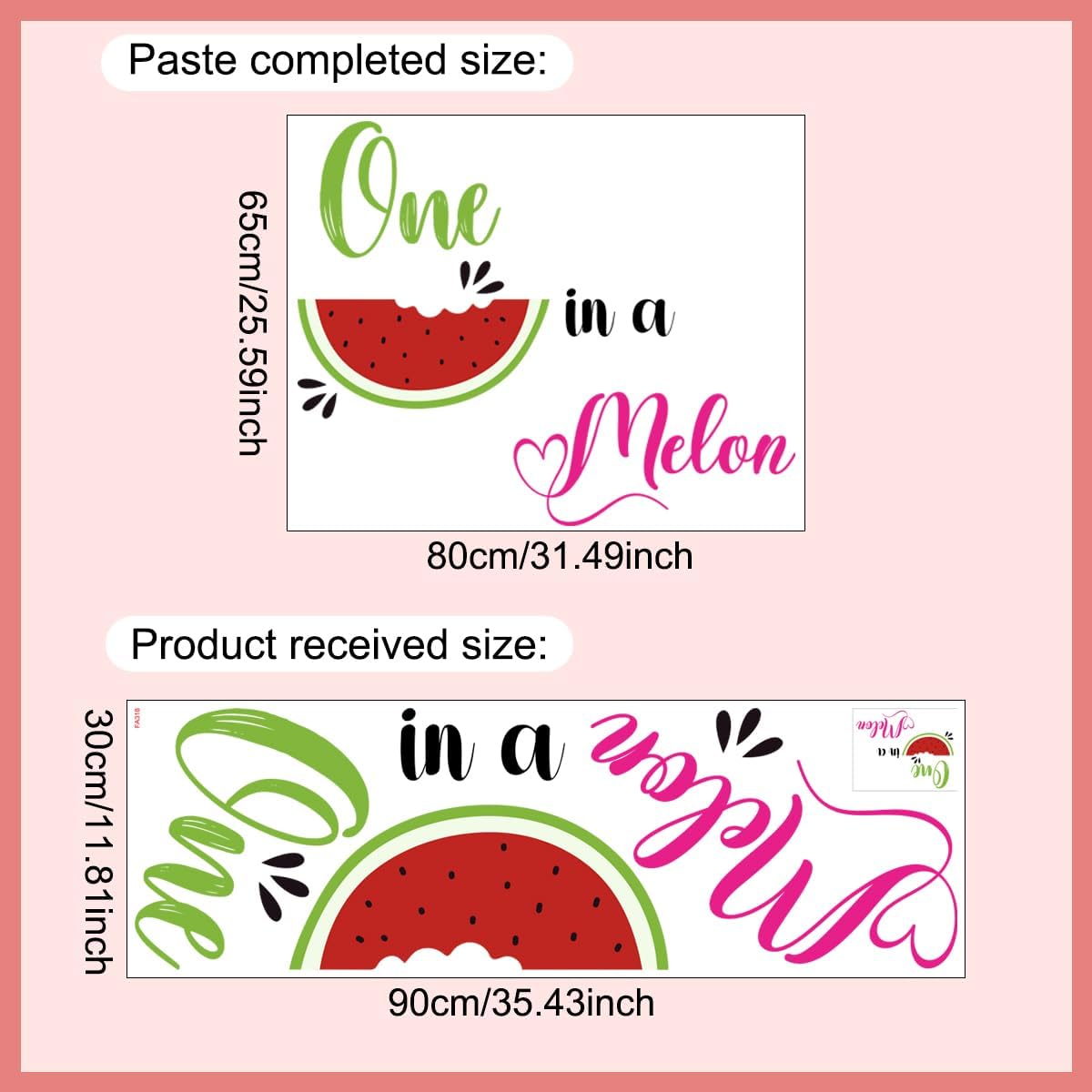 BOOMPA One in a Melon Watermelon Vinyl Wall Decal