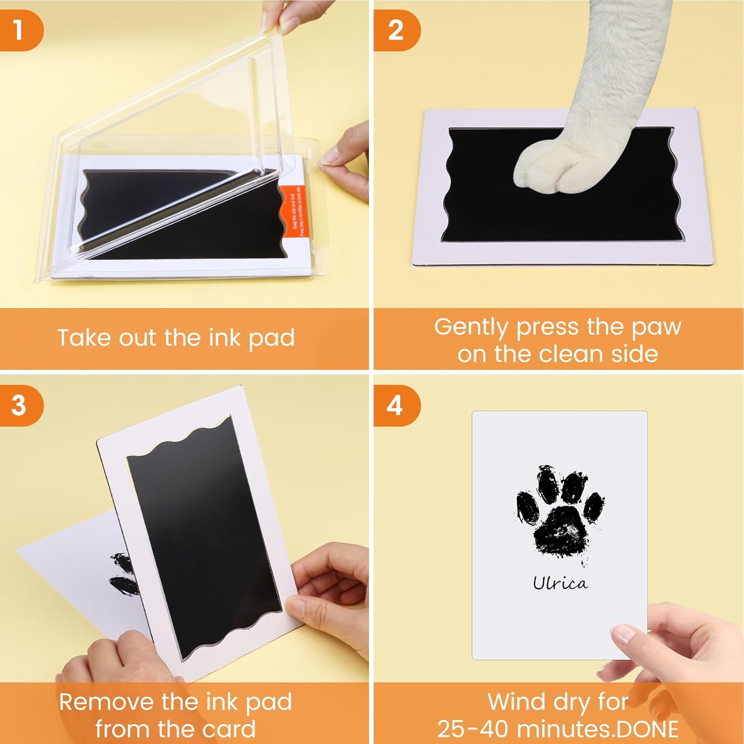 Rainbow Bridge Pet Footprint Kit for Grief Relief