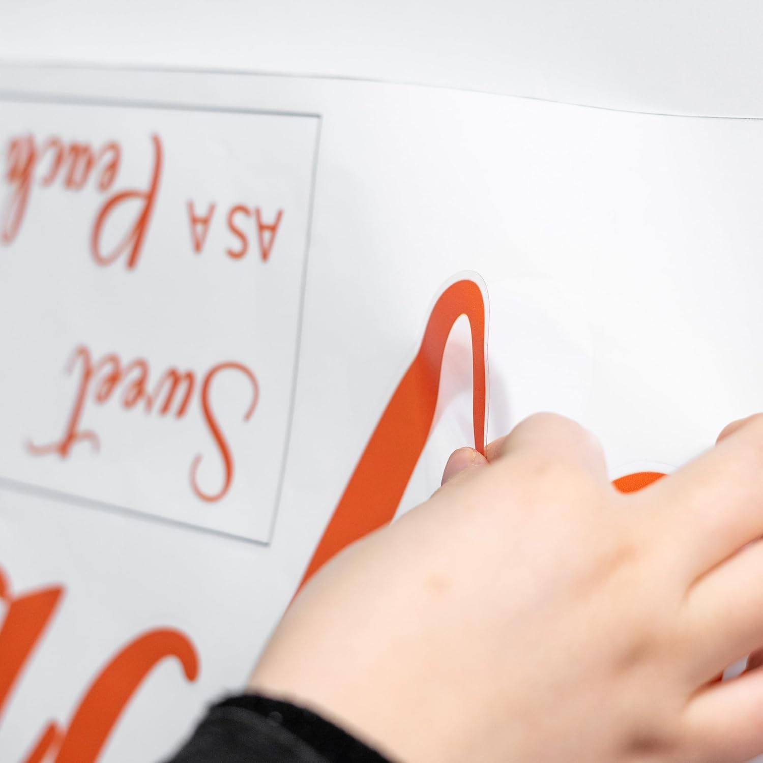 Sweet As A Peach Wall Decal for Parties and Decor