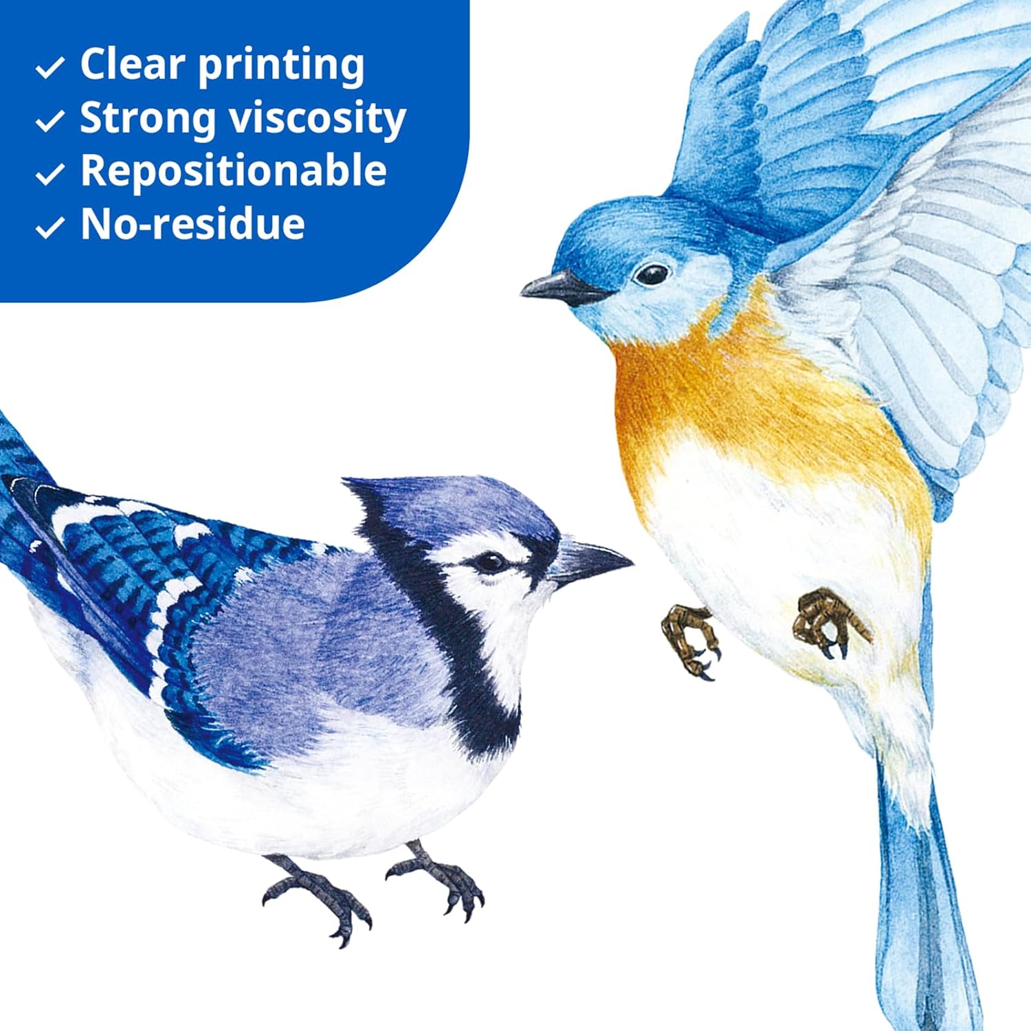 DECOWALL DS2-8042 Little Birds Wall Stickers