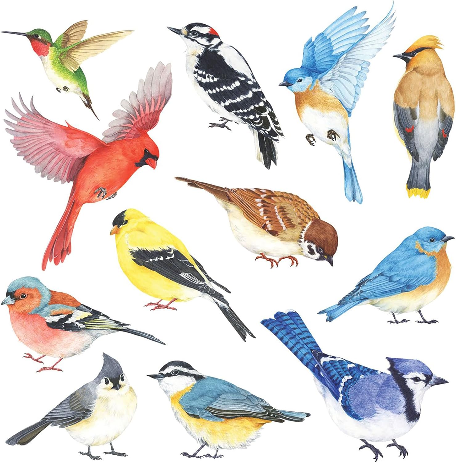 DECOWALL DS2-8042 Little Birds Wall Stickers