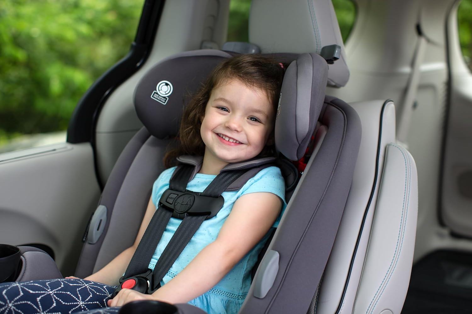 Safety 1st Grow and Go Convertible Car Seat for Kids