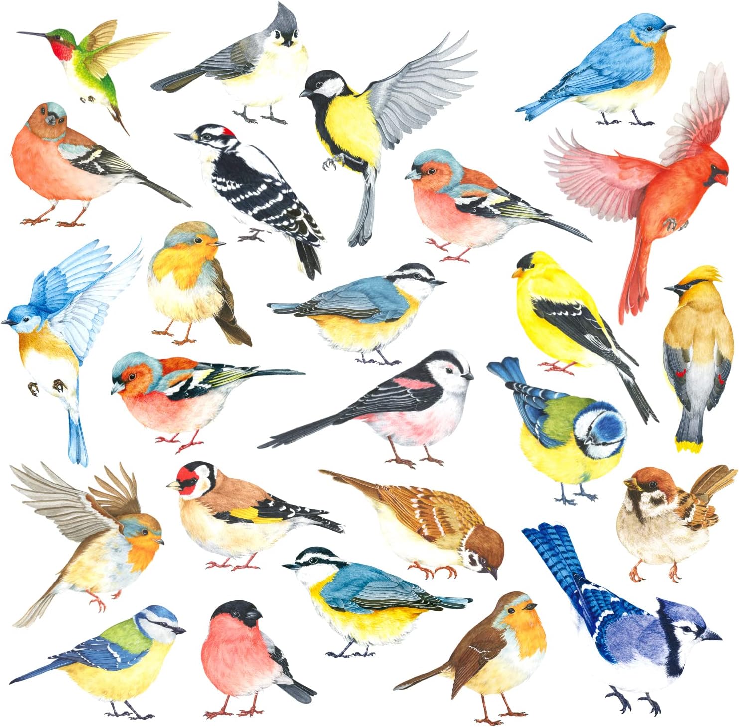 DECOWALL 25 Little Birds Wall Art Decals Stickers