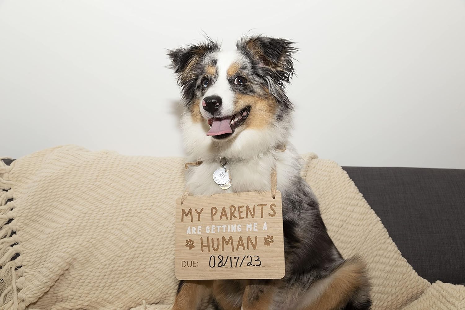 Pearhead Pregnancy Announcement Sign for Dogs